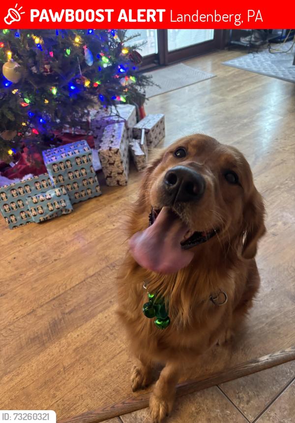 Lost Male Dog last seen Landenberg Pa, Landenberg, PA 19350