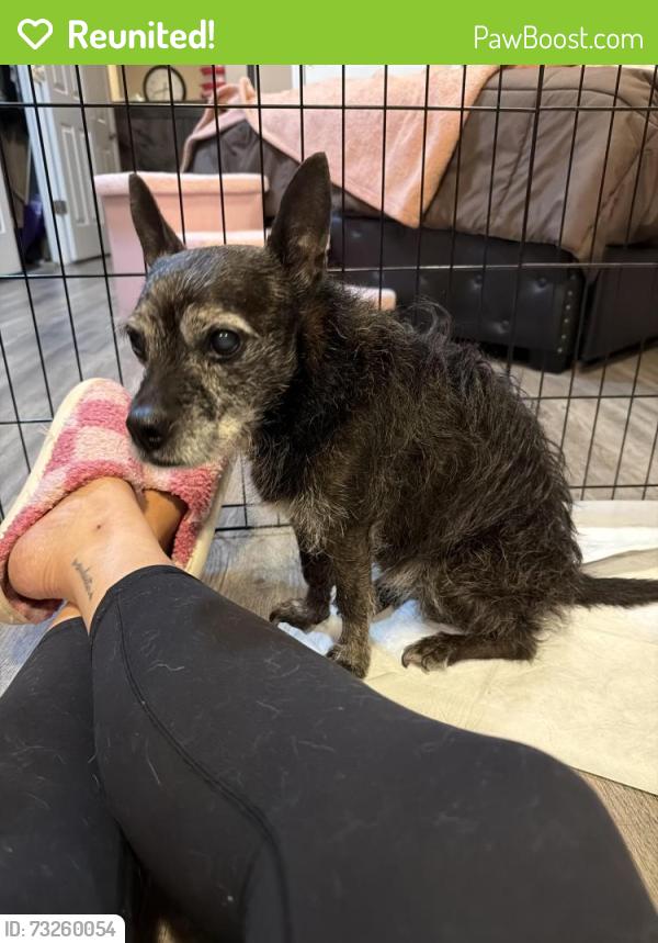 Reunited Male Dog last seen Near Academy Rd. Phila pa 19114, Philadelphia, PA 19114
