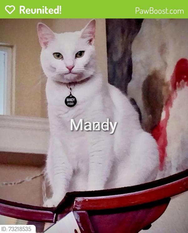 Reunited Female Cat last seen hse Fire 58 Mark Twain Lane, Rotonda West, FL 33947