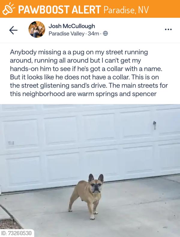 Found/Stray Unknown Dog last seen Glistening Sands dr, Paradise, NV 89119