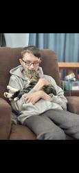 Lost Male Cat last seen Hale and Trafalgar, London, ON 