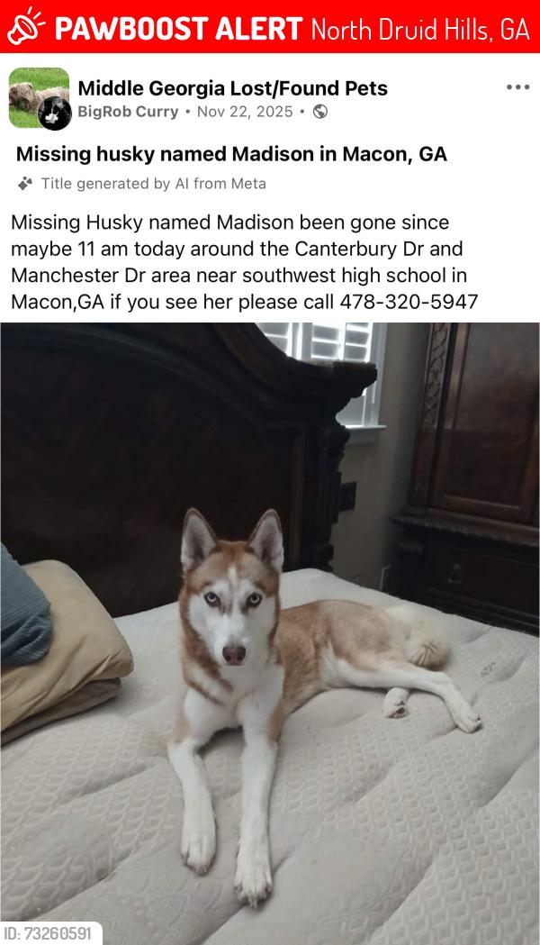 Lost Female Dog last seen Toco Hills, North Druid Hills, GA 30329