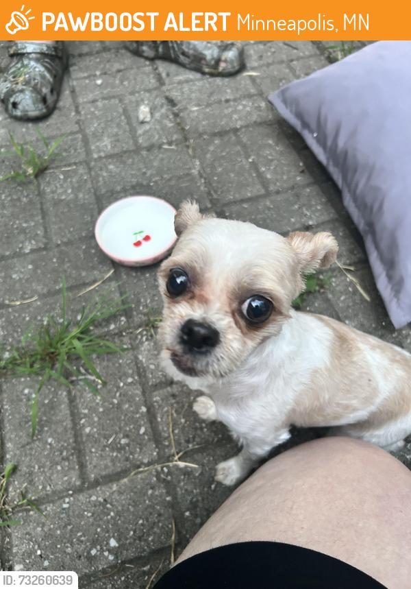 Found/Stray Unknown Dog last seen 19th and Quincy Streeet Northeast, Minneapolis, MN 55418
