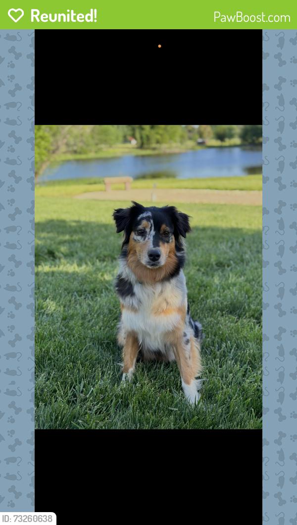 Reunited Female Dog last seen Curie and Mountford, San Jose, CA 95123