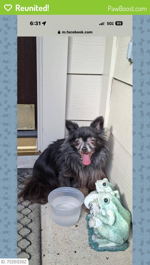 Reunited Unknown Dog last seen Near N Riviera Cir, Pearland, TX 77581