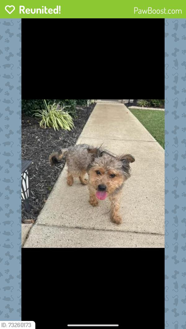 Reunited Male Dog last seen Near National Dr, Murfreesboro, TN 37128, USA, Murfreesboro, TN 37128