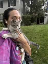Found/Stray Female Cat last seen Cherry Creek, Denver, CO 80206