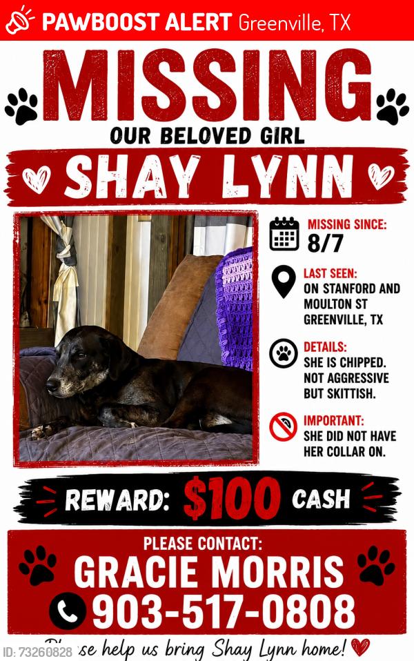 Lost Female Dog last seen Standford moulton street Greenville Tx, Greenville, TX 75401