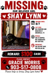 Lost Female Dog last seen Standford moulton street Greenville Tx, Greenville, TX 75401