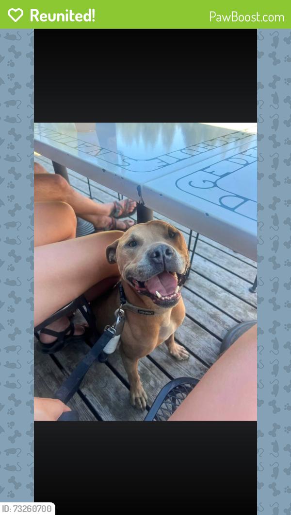 Reunited Male Dog last seen Redwood ave, Grants Pass, OR 97527