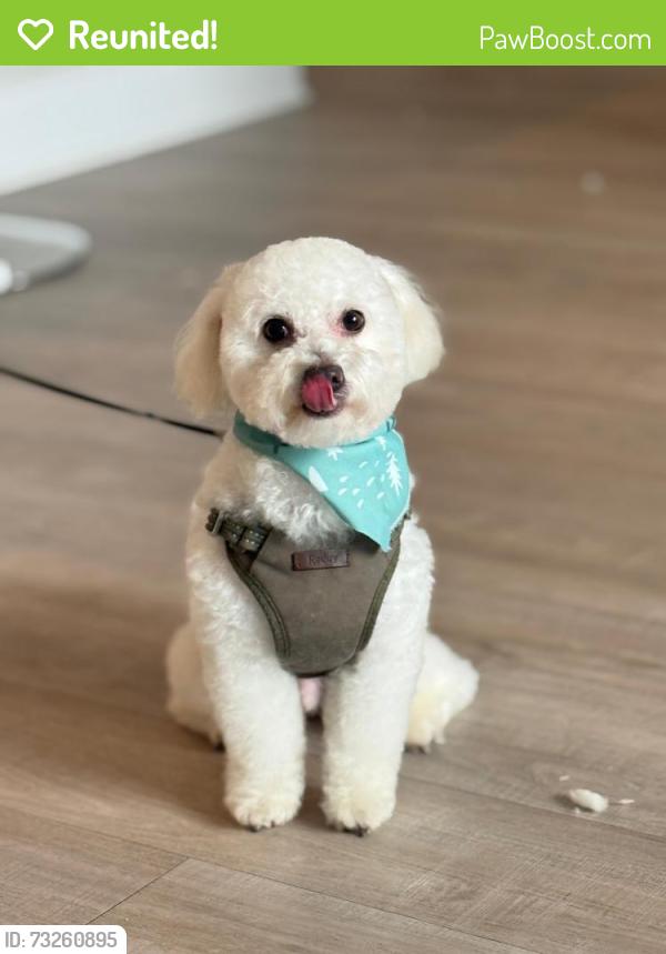 Reunited Male Dog last seen Near Beechview Ln, Katy, TX 77449, Katy, TX 77449