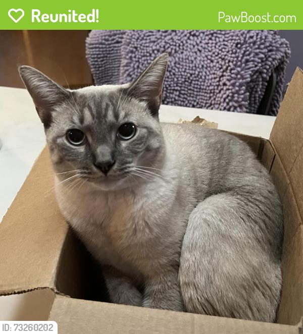 Reunited Male Cat last seen Near (Creek Rd), Glenmoore, PA 19343