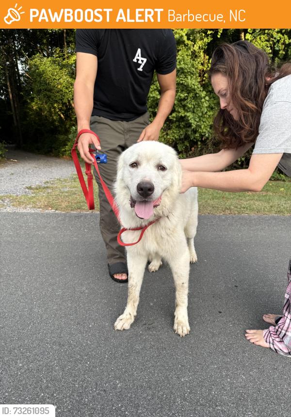 Found/Stray Male Dog last seen Near dollar general on Buffalo lakes, Barbecue, NC 27332