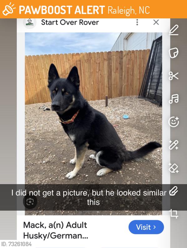 Found/Stray Male Dog last seen Back of Hunter school, Raleigh, NC 27601