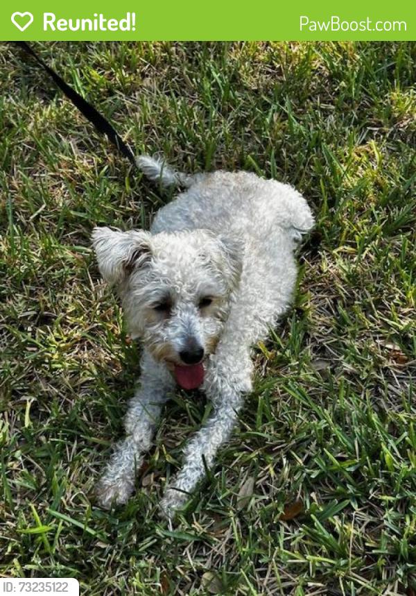 Reunited Unknown Dog last seen Creekbend close to Old Port Isabel, Brownsville, TX 78521