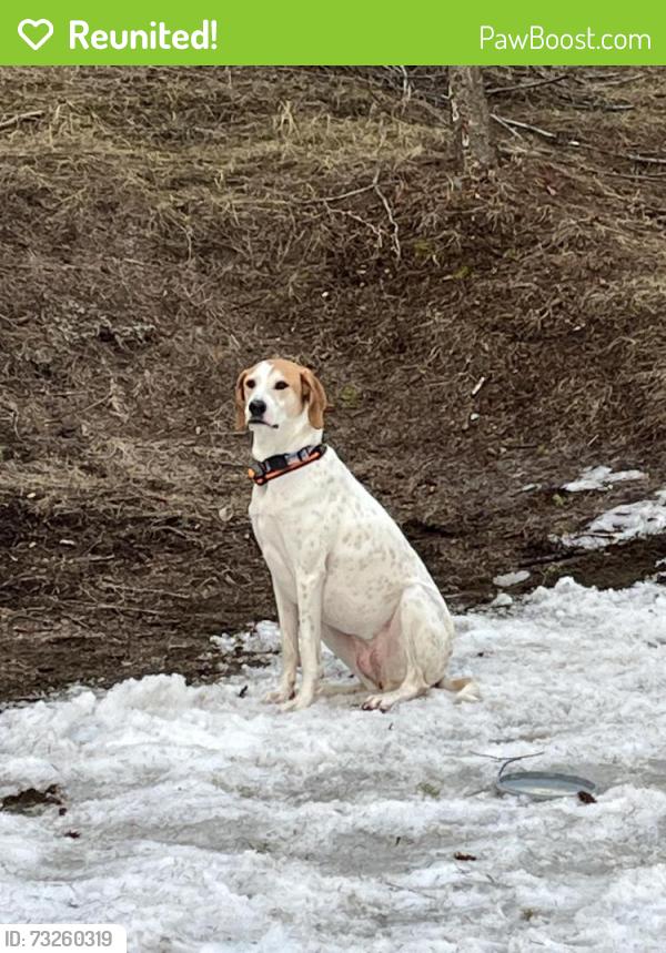 Reunited Female Dog last seen Timothy Road, Athens, GA 30606