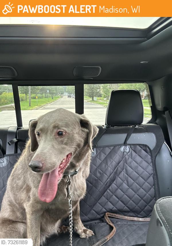 Found/Stray Unknown Dog last seen Maple Bluff Park and Marina Boat Launch, Madison, WI 53704