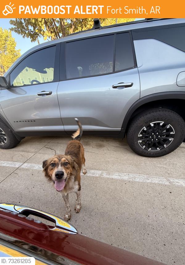 Found/Stray Unknown Dog last seen The Hub, Fort Smith, AR 72916