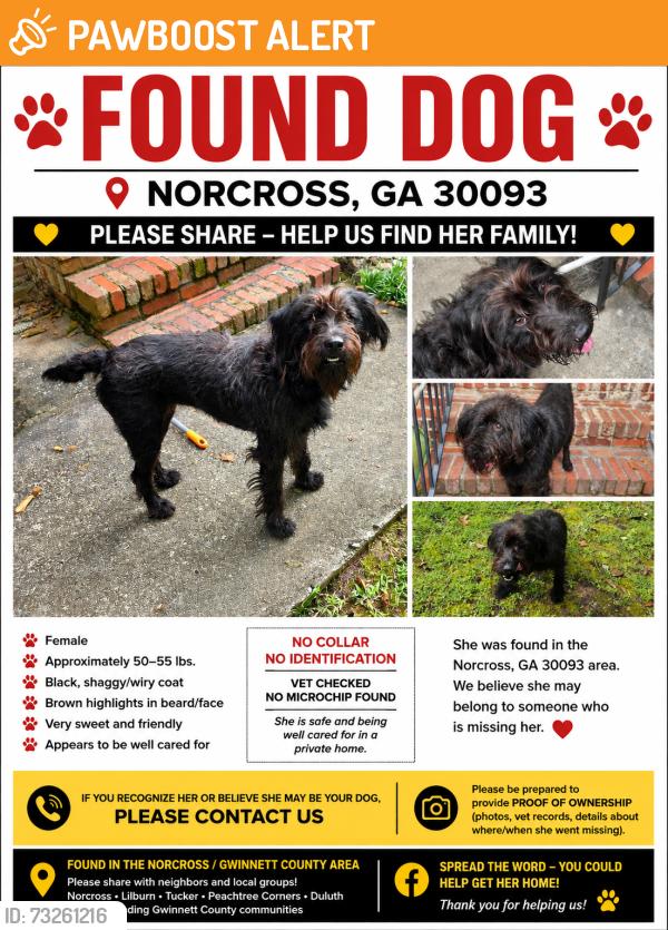 Found/Stray Female Dog last seen Windward Lane and Inman Ct, Gwinnett County, GA 30093