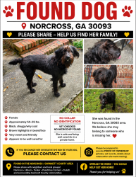 Found/Stray Female Dog last seen Windward Lane and Inman Ct, Gwinnett County, GA 30093