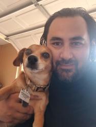 Lost Male Dog last seen Florida Ave and castleworks lane, Tarpon Springs, FL 34689