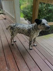 Found/Stray Male Dog last seen Wolfsville MD, Washington County, MD 21773