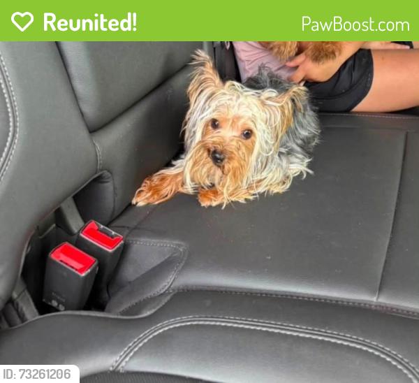 Reunited Male Dog last seen Cleveland, Sherman, TX 75090