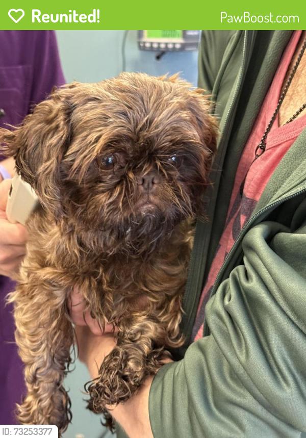Reunited Male Dog last seen Ansley Square, Atlanta, GA 30309