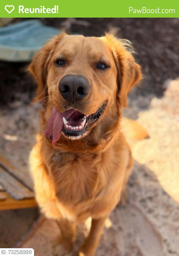 Reunited Male Dog last seen Woodlands of Bell Lane Pace Florida, Pace, FL 32571