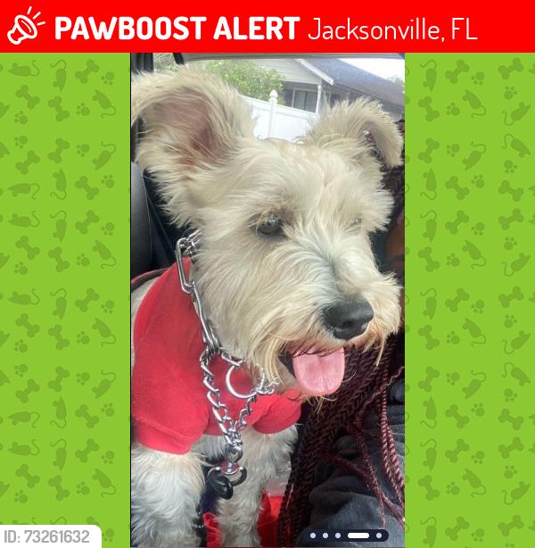 Lost Male Dog last seen EWC - Edwaters College, Jacksonville, FL 32209