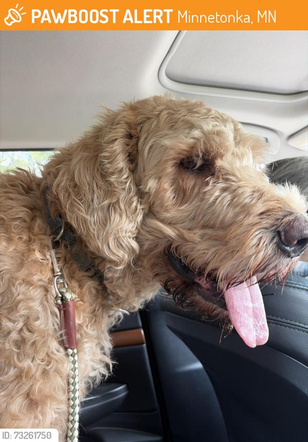 Found/Stray Male Dog last seen Shady oak, Minnetonka, MN 55343