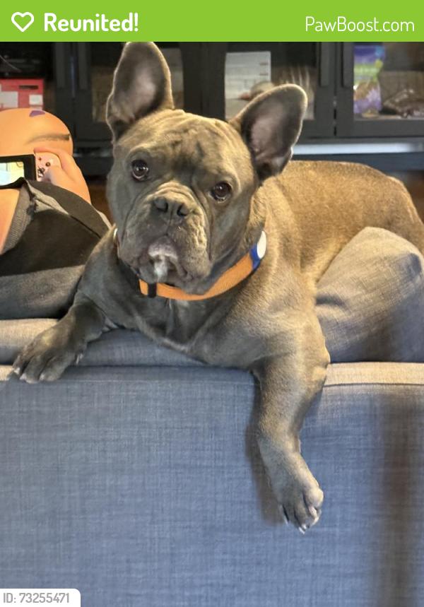 Reunited Male Dog last seen Near S Hanover Way, Greenwood Village, CO 80111, USA, Greenwood Village, CO 80111