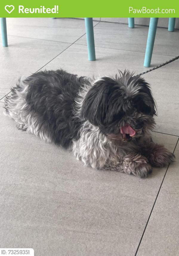Reunited Female Dog last seen 11th street between 5th and 6th avenue Brooklyn, NY, Brooklyn, NY 11215