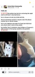 Reunited Male Cat last seen Ashurst wood, Ashurst Wood, England 