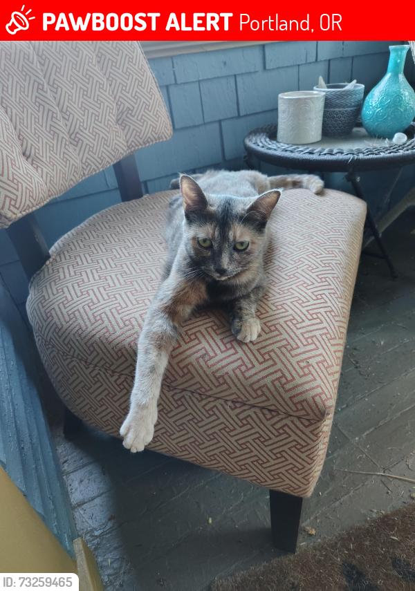 Lost Female Cat last seen 76th & Oregon Street, Portland, OR 97213