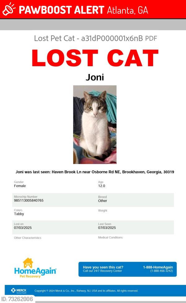 Lost Female Cat last seen Osborne Rd & Peachtree Rd, Atlanta, GA 30319