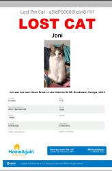 Lost Female Cat last seen Osborne Rd & Peachtree Rd, Atlanta, GA 30319