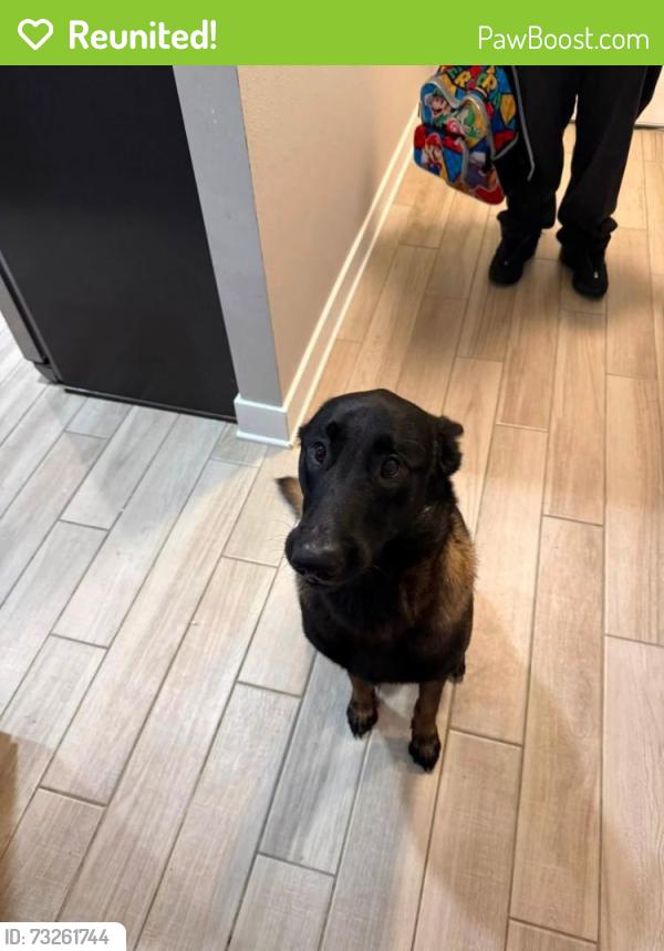 Reunited Male Dog last seen Near Fayson cir, Deltona, FL 32738