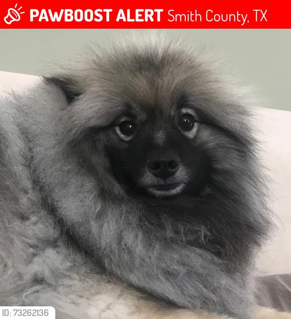 Lost Male Dog last seen The cove, Smith County, TX 75762