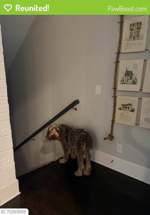 Reunited Male Dog last seen Grimes Bridge Park, Roswell, GA 30075