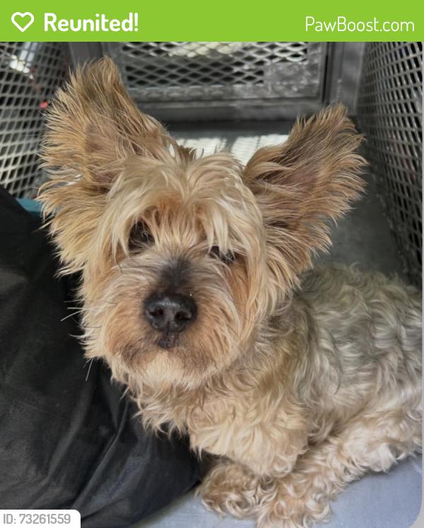 Reunited Unknown Dog last seen Meadow Court Clifton, Clifton, NJ 07012