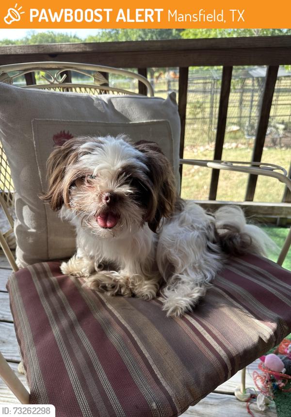 Found/Stray Unknown Dog last seen Matlock and Debbie Lane, Mansfield, TX 76063