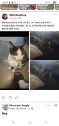 Lost Male Cat last seen Grove park, Greater London, England SE12 9QB