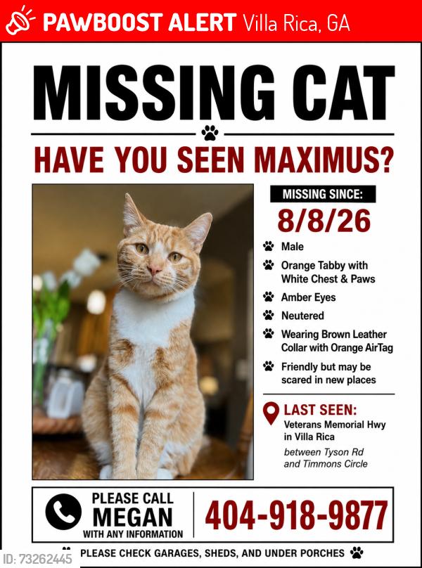 Lost Male Cat last seen Timmons Circle, Tyson Drive, Villa Rica, GA 30180