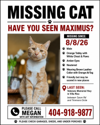 Lost Male Cat last seen Timmons Circle, Tyson Drive, Villa Rica, GA 30180