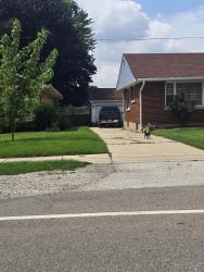 Found/Stray Unknown Dog last seen Near High St (& Hankes), Aurora, Aurora, IL 60505