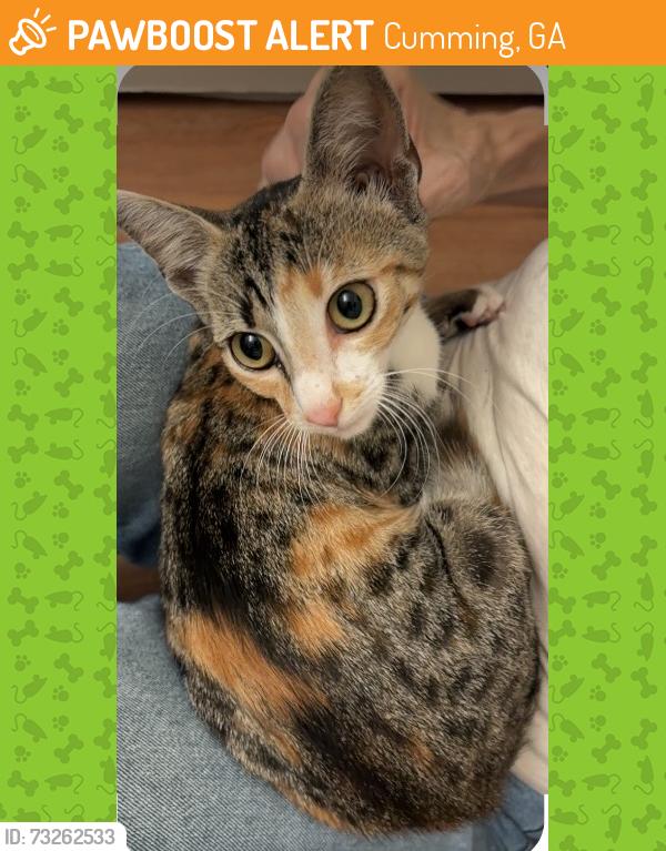 Found/Stray Female Cat last seen Greenway, Cumming, GA 30040