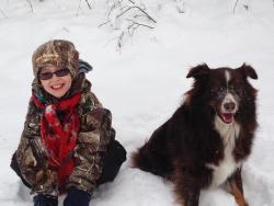 Lost Male Dog last seen State rte 668 and Dutch ridge rd, New Straitsville, OH 43766