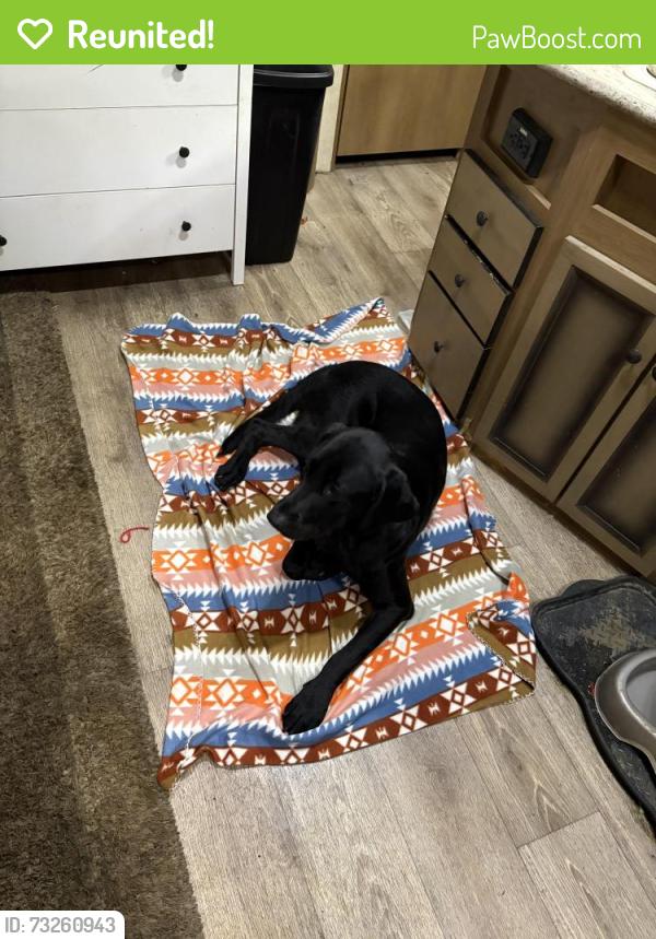 Reunited Female Dog last seen Harbor blvd and Rice ave, West Sacramento, CA 95691