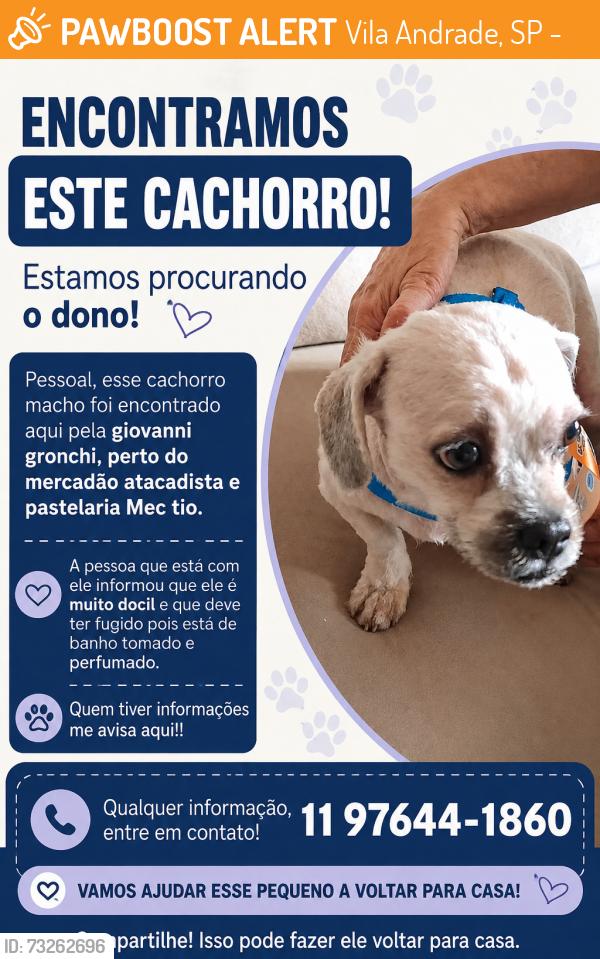 Found/Stray Male Dog last seen Entre mercadao atacadista e pastelaria Mec Tio da Giovanni Gronchi, Vila Andrade, SP 05724-003